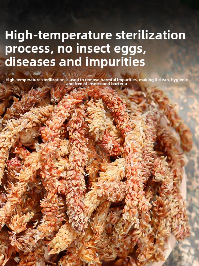 チリ産スパグニウムモス 100g 200g プレミアム品質、 - Sphagnum Moss Dry のレビューと価格