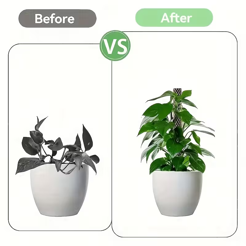 1セットの積み重ね可能なプラスチック製モスポールシート、耐久 - Sphagnum Moss Dry のレビューと価格