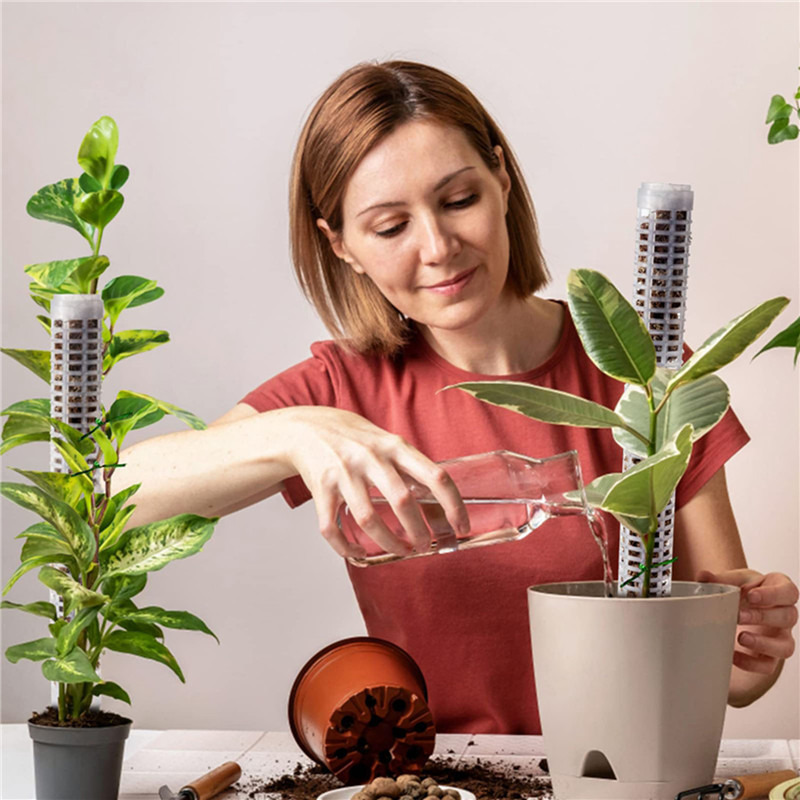 植物の成長を助ける支柱、水貯蔵性と肥料豊富な植物延長ポールス - Sphagnum Moss Dry のレビューと価格